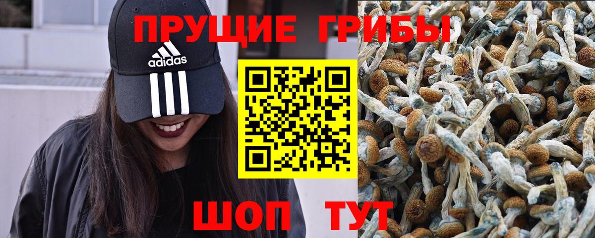 Галлюциногенные грибы мухоморы  Галлюциногенные грибы прущие грибы  Вход с VPN  Сальск 
