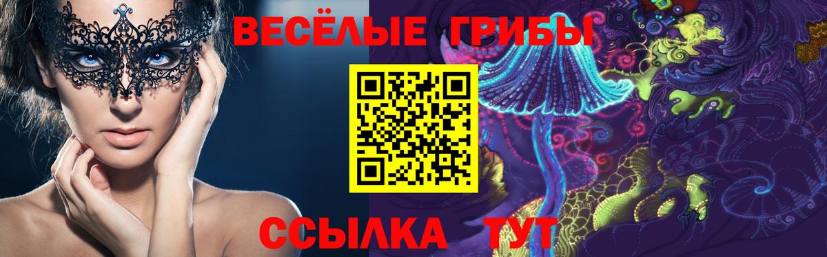 Псилоцибиновые грибы мицелий Сальск
